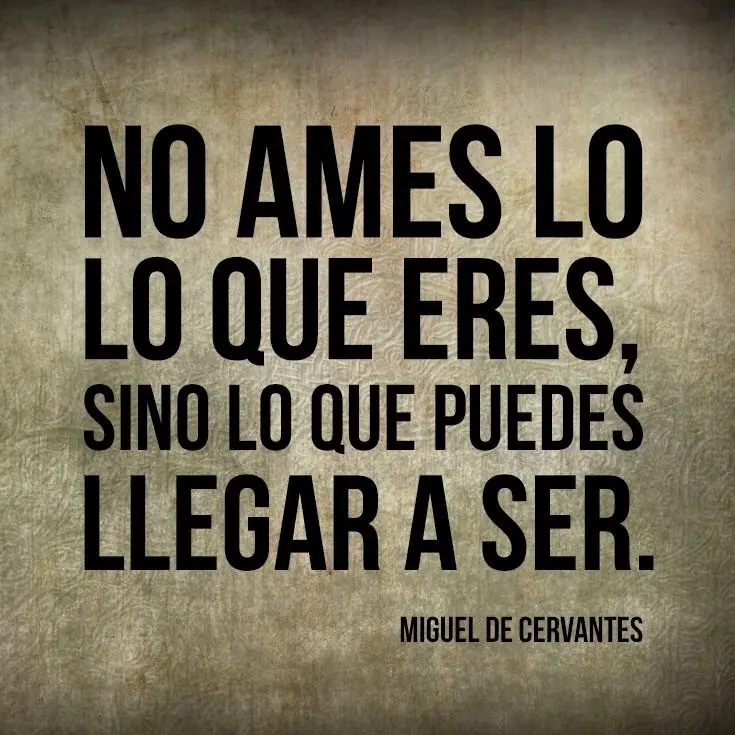citas citas