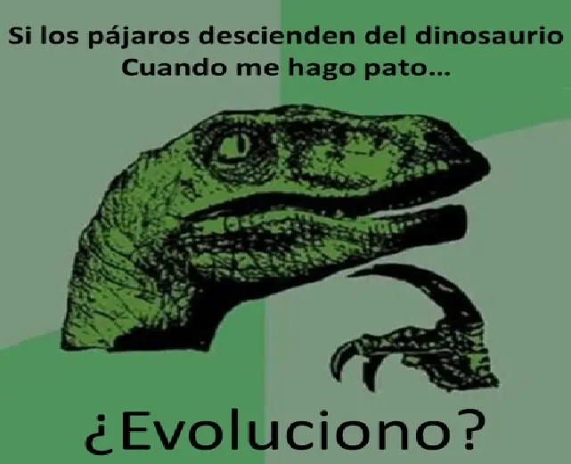 dudas
