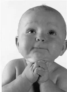 Gana todas las discuciones con este post