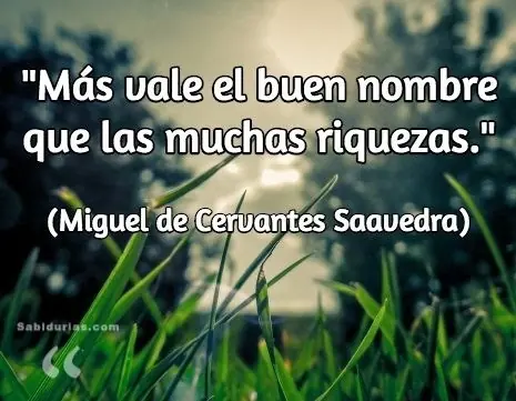 frases frases