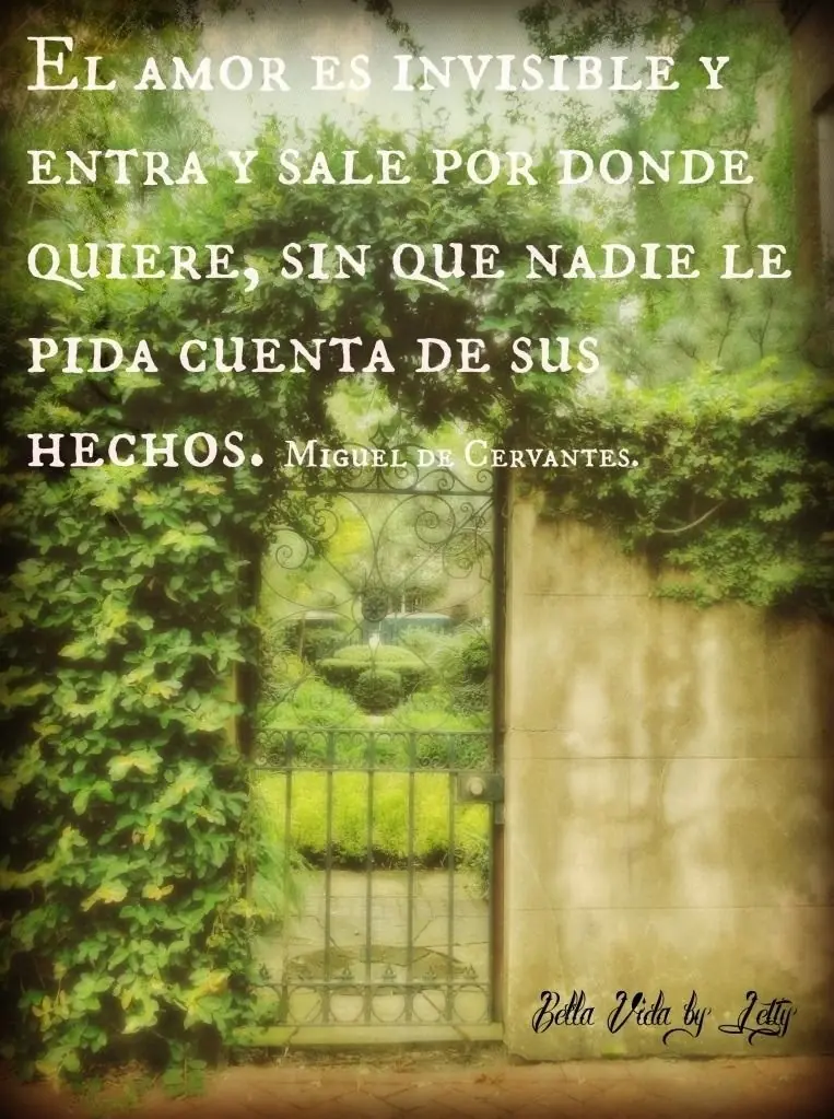 citas