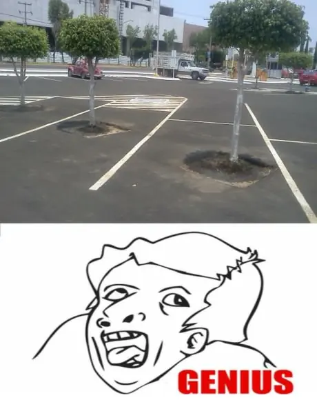 meme