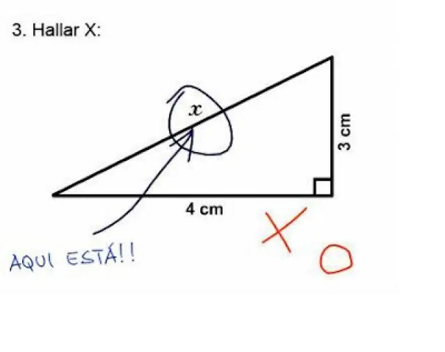 respuestas a exámenes en imágenes por si no te gusta leer