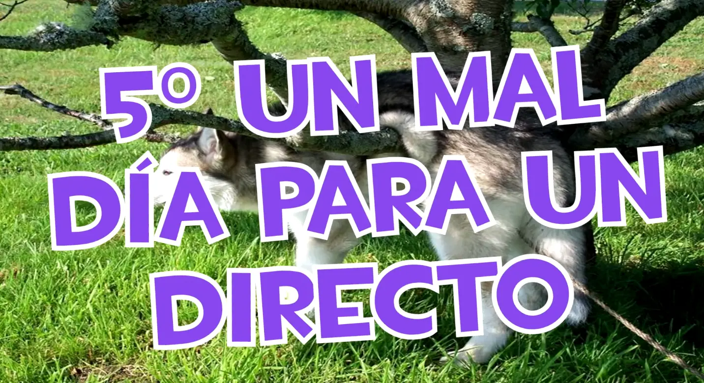 fallos en directos de youtube