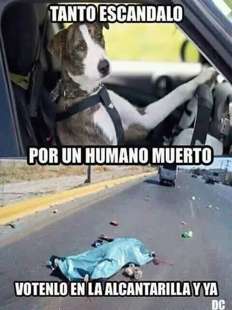 tres tres