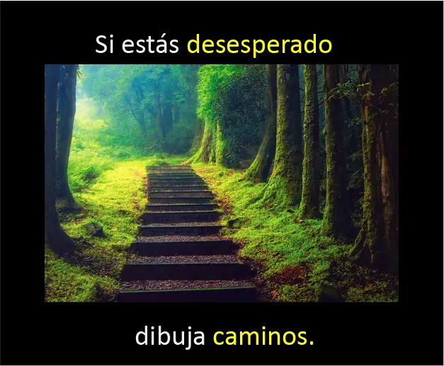consejos