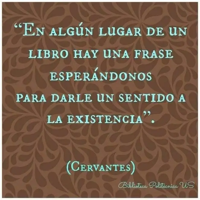 citas citas