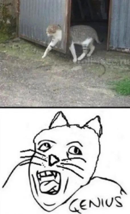 Genius