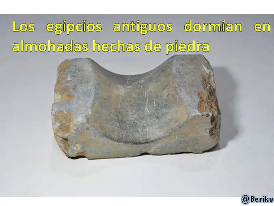 educacion