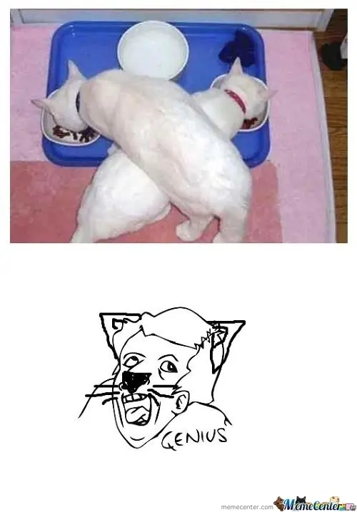 Recopilación de memes: genius