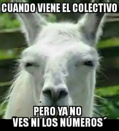 parte parte
