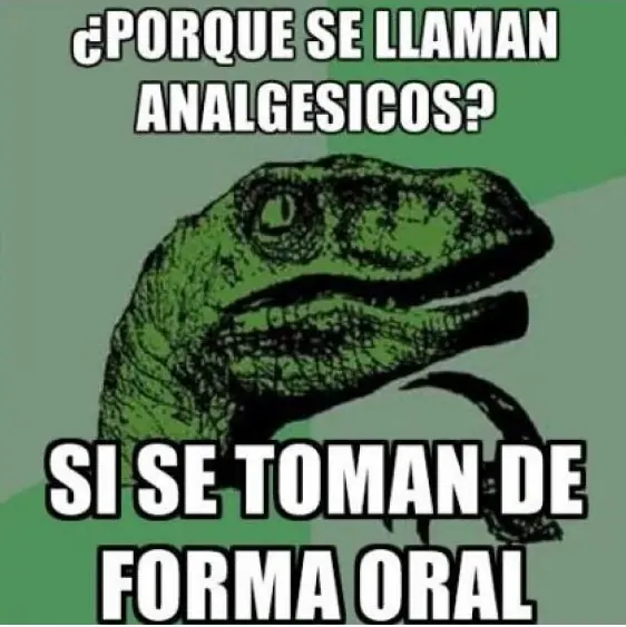 Estupidas