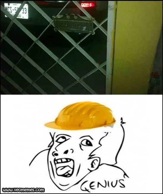 Genius