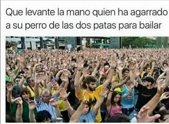 parte parte