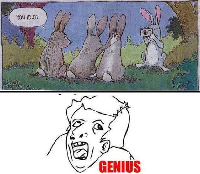 meme