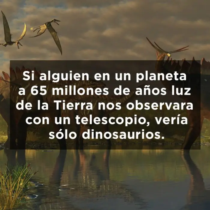 obvios