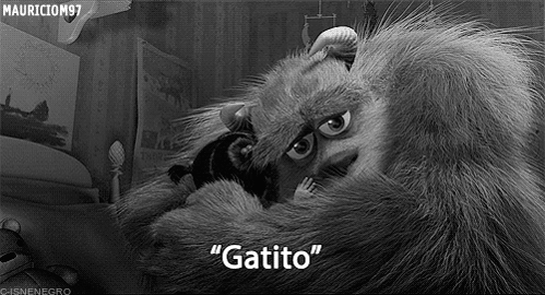 gallego