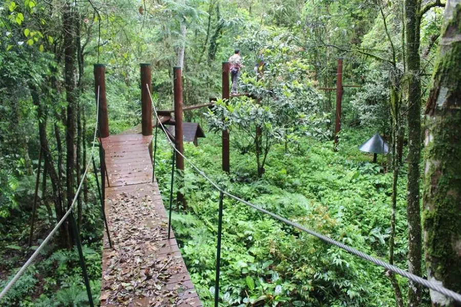 reserva ecologica