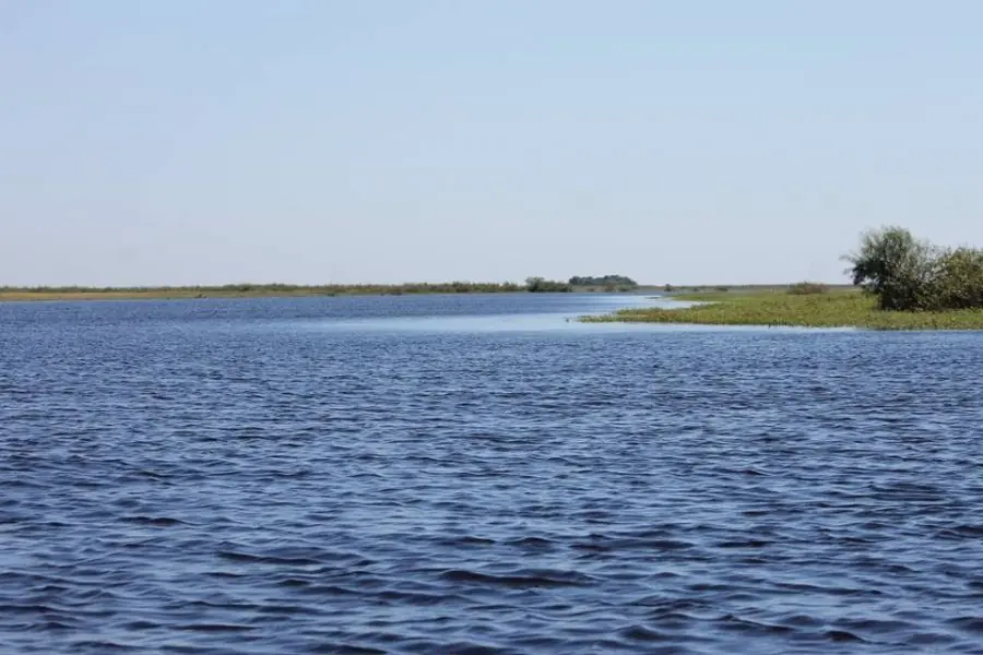 Conoce las tierras del Iberá que Thompkins donará para un...