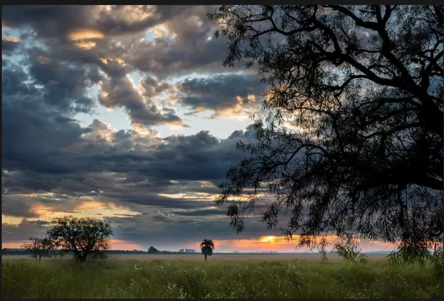Conoce las tierras del Iberá que Thompkins donará para un...