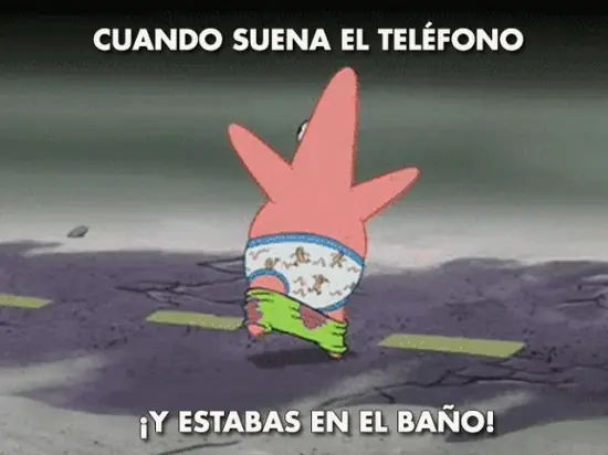 fotos