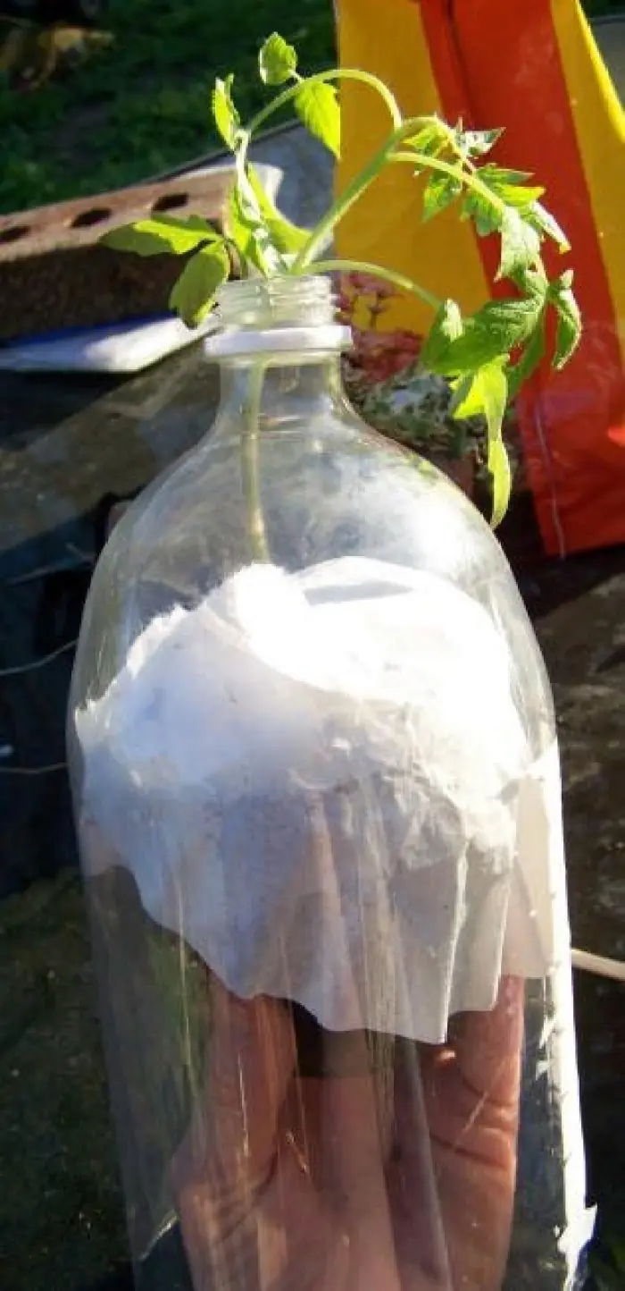 plastico