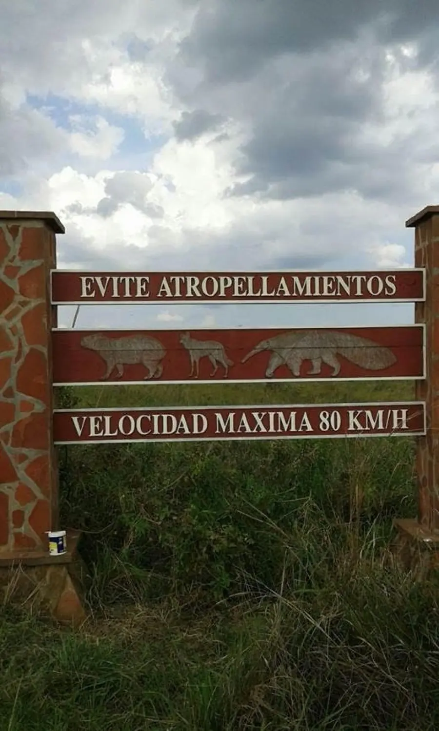 Conoce las tierras del Iberá que Thompkins donará para un...