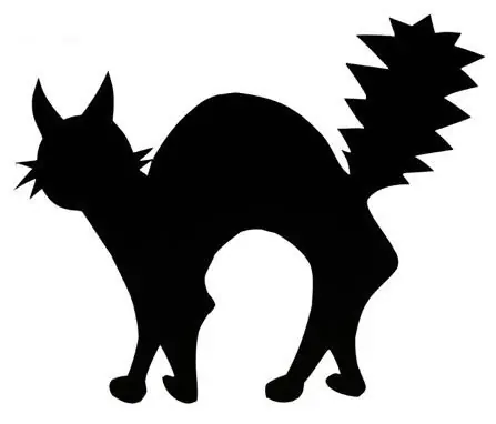 fortuna fortuna