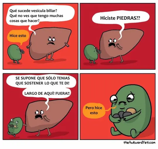 Estúpida e incomprendida Vesícula Biliar