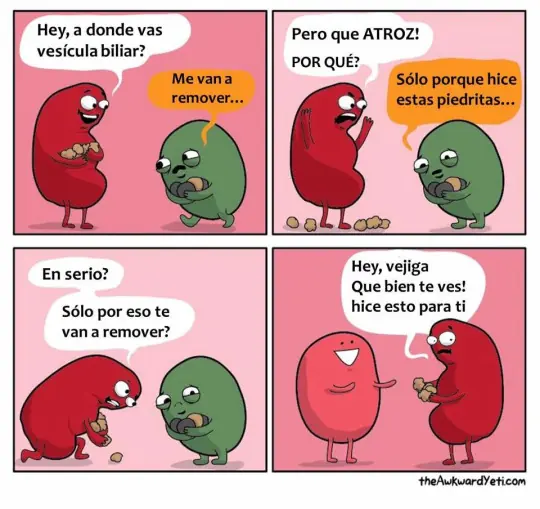 incomprendida