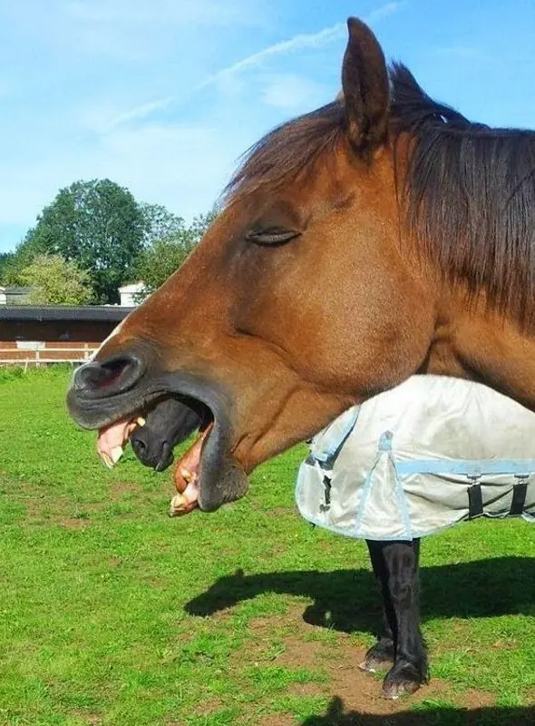 Fotos Tomadas en el momento exacto...