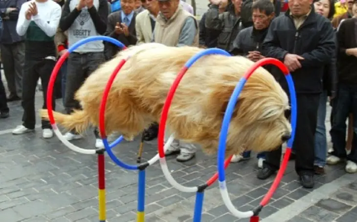 Fotos Tomadas en el momento exacto...
