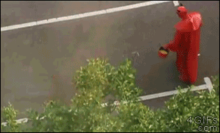 estos gif