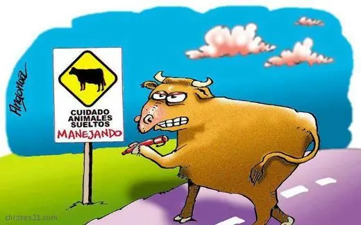 Lunatico