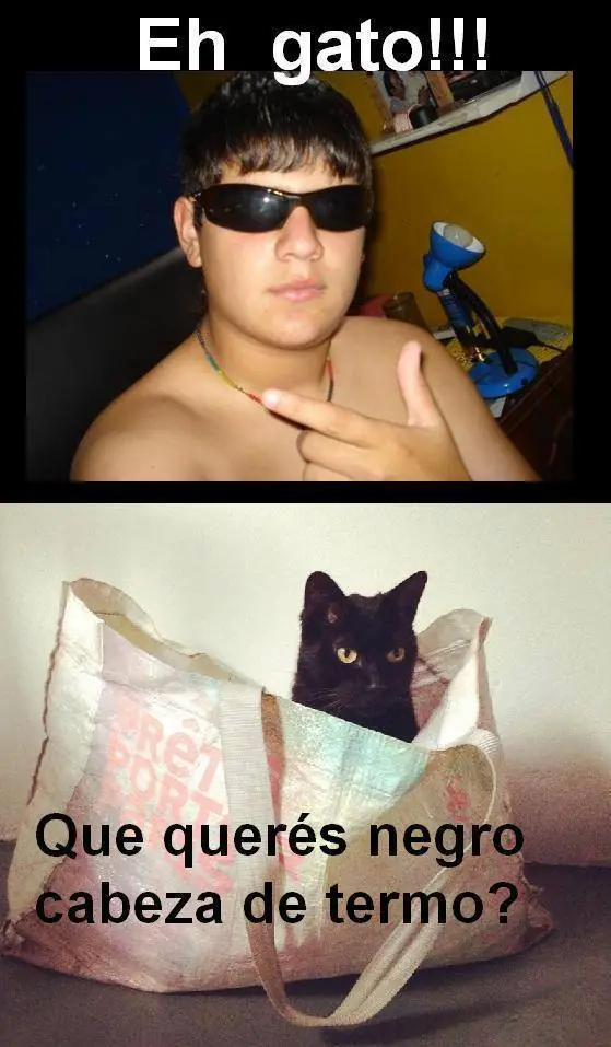 humor