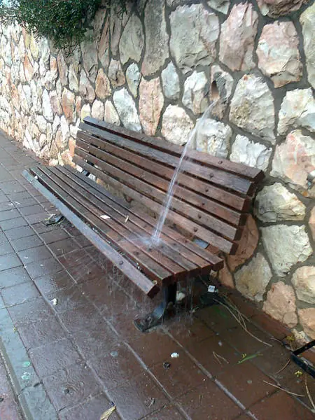 taringa