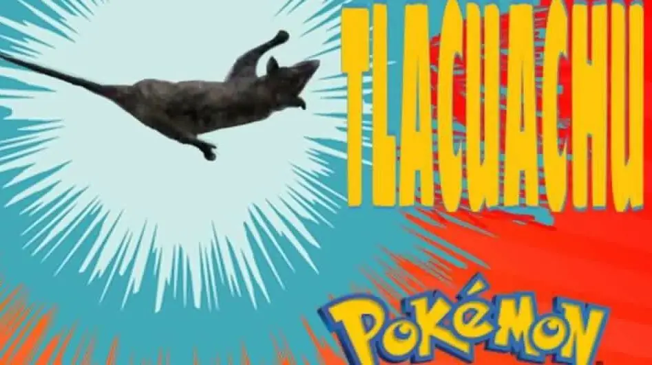 tlacuache volador