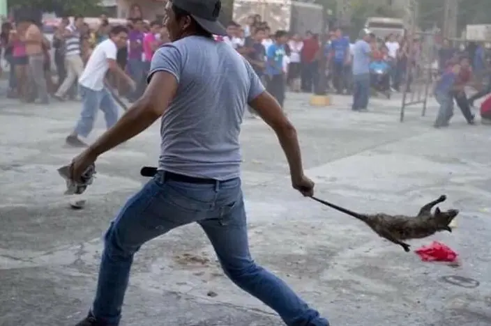 La historia detrás del 'tlacuache de Nochixtlán'