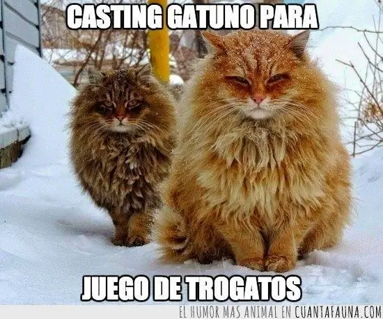 thrones