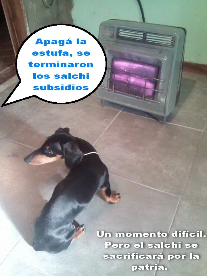 Hipocampitas
