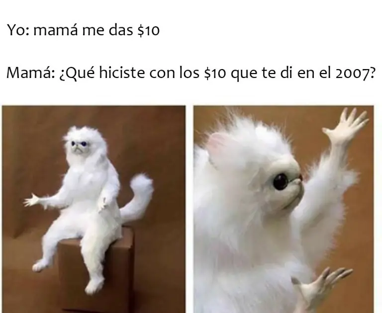 Conversacion