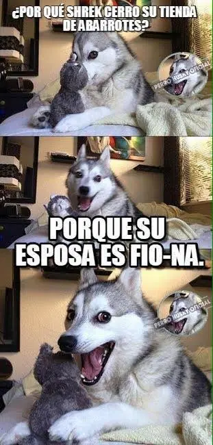 El perro Husky - compilado