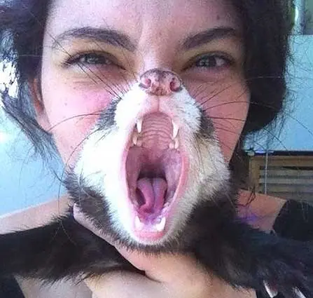 tomadas en el momento justo