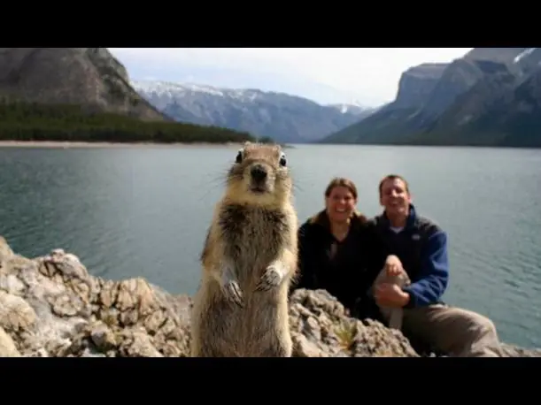Las mejores fotos tomadas en el momento exacto
