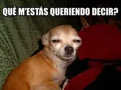 bailanta