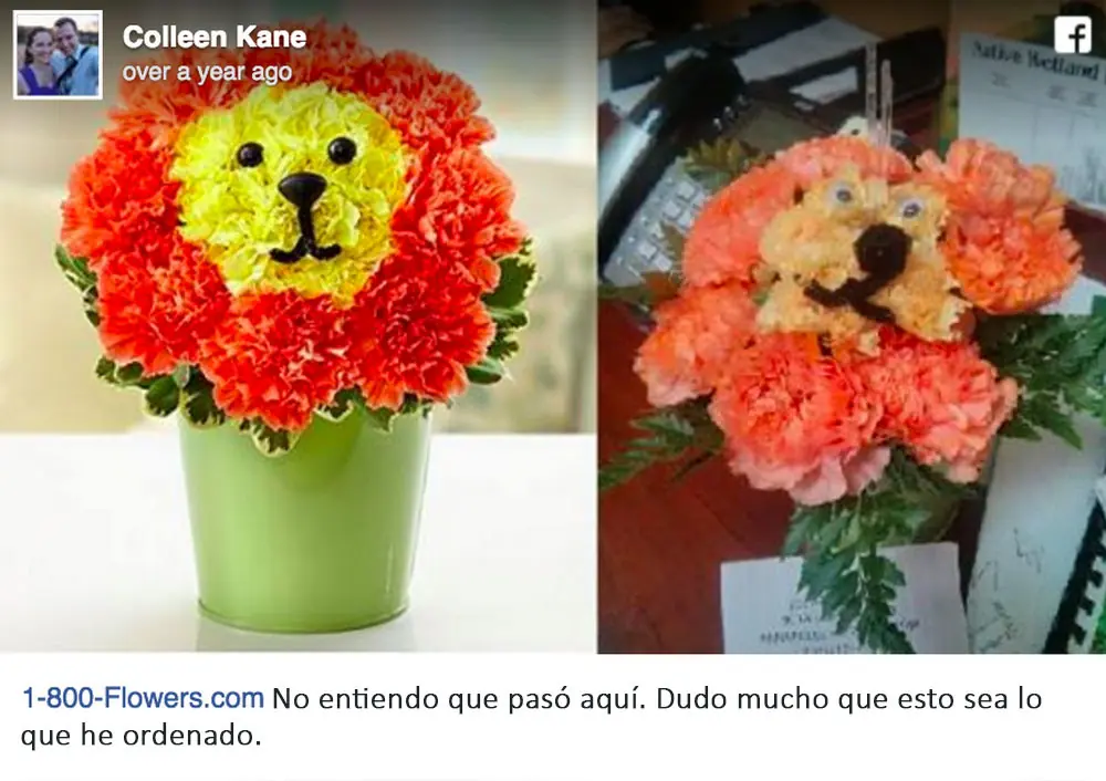 ecommerce ecommerce
