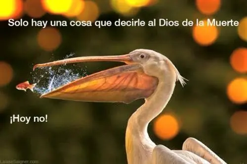 Si te gusta Game of Thrones entra - parte 16