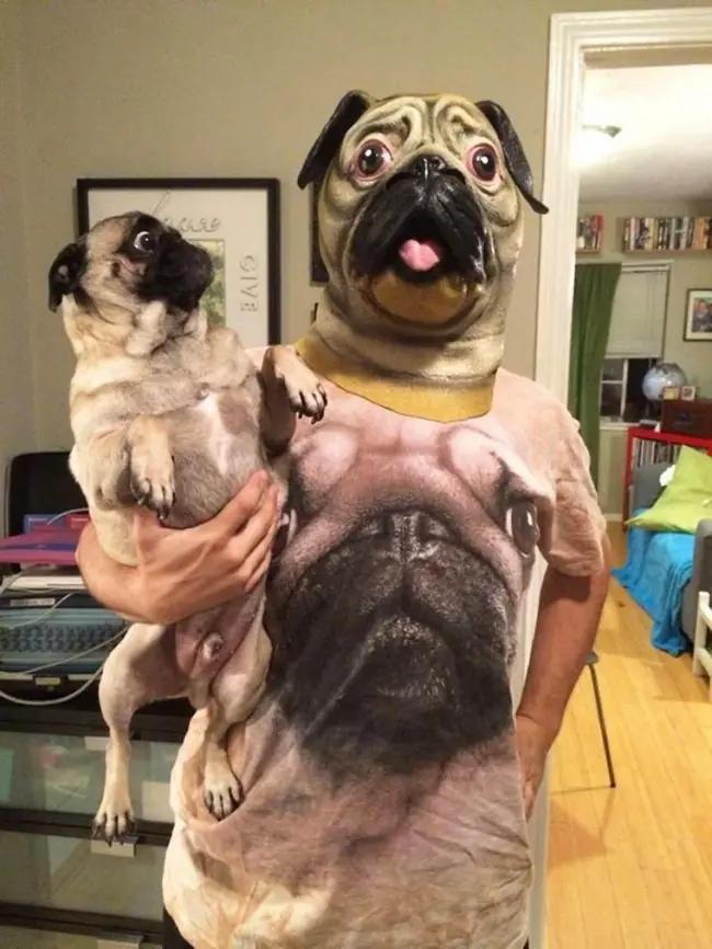 perros