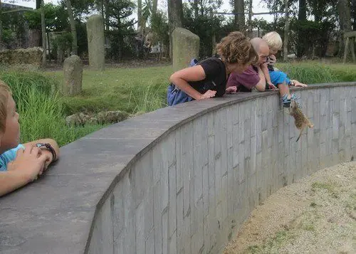 tomadas en el momento justo