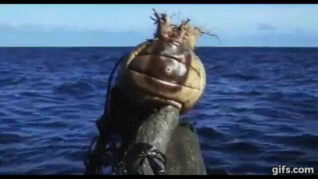 Hagamos Top a Wilson un ejemplo de vida